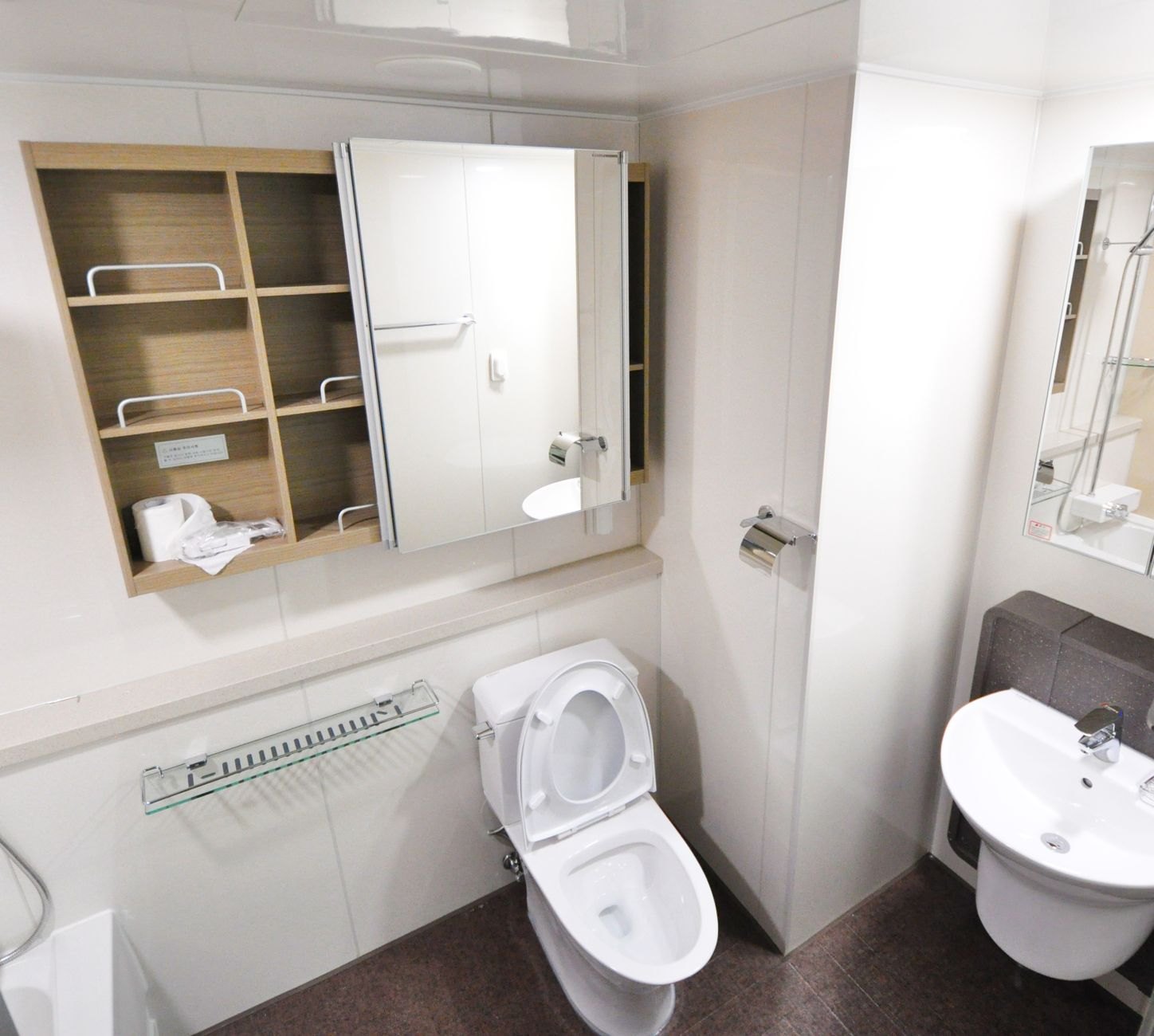 Small bathroom with a toilet beneath a mirrored wall cabinet with open shelves, and a sink to the right.